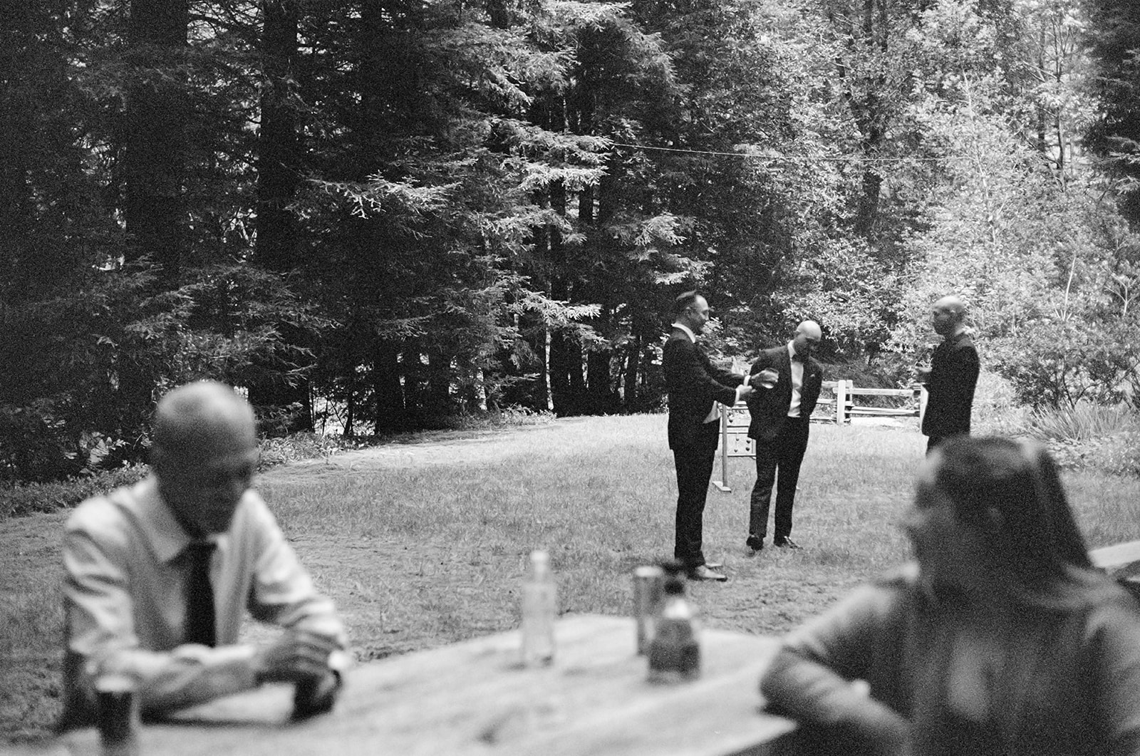 Groom and groomsmen chatting near picnic tables in a forest clearing, with trees and sunlight in the background.