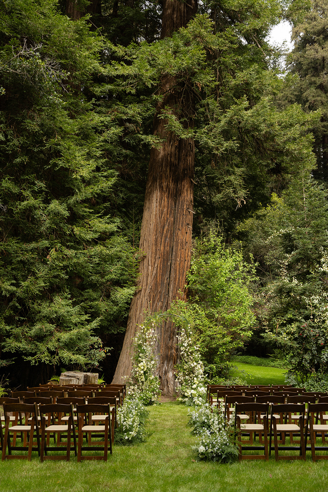 Empty forest ceremony setup with wooden chairs and greenery at a dreamy redwood grove Big Sur wedding venue.