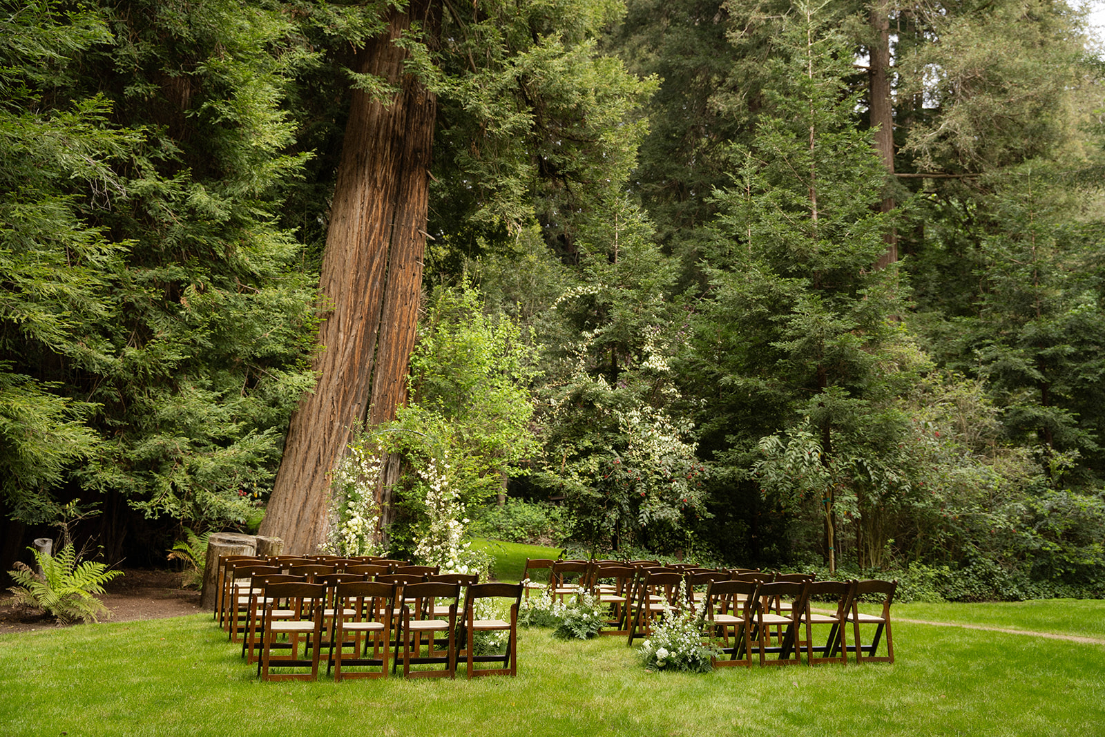 Ceremony chairs arranged in a forest clearing surrounded by towering redwoods at a Big Sur wedding.