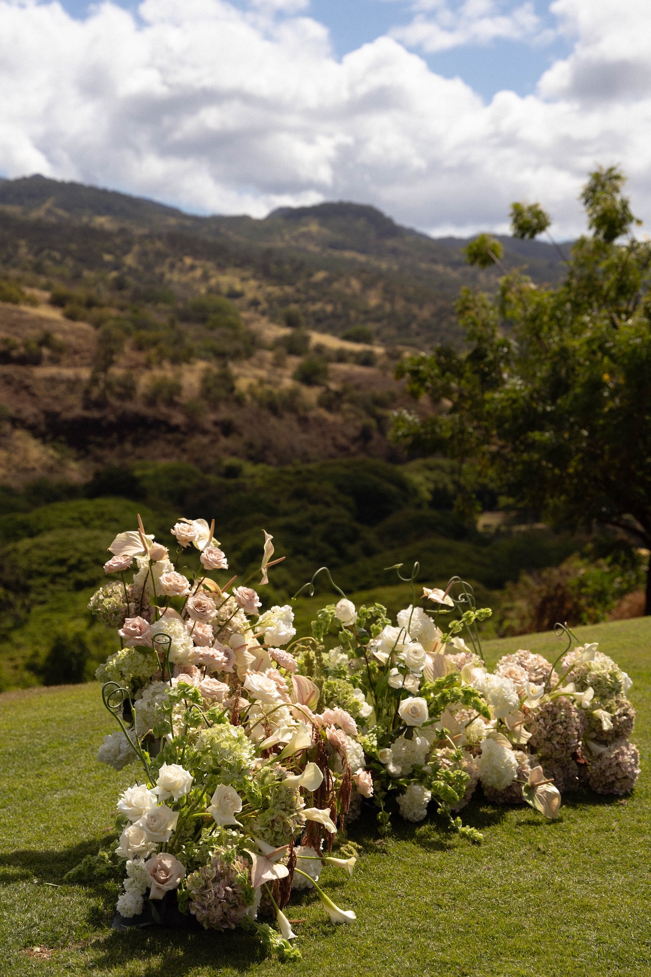 Scenic view of North Shore Oʻahu mountains framed by palm leaves at Kaʻala Vista wedding venue.