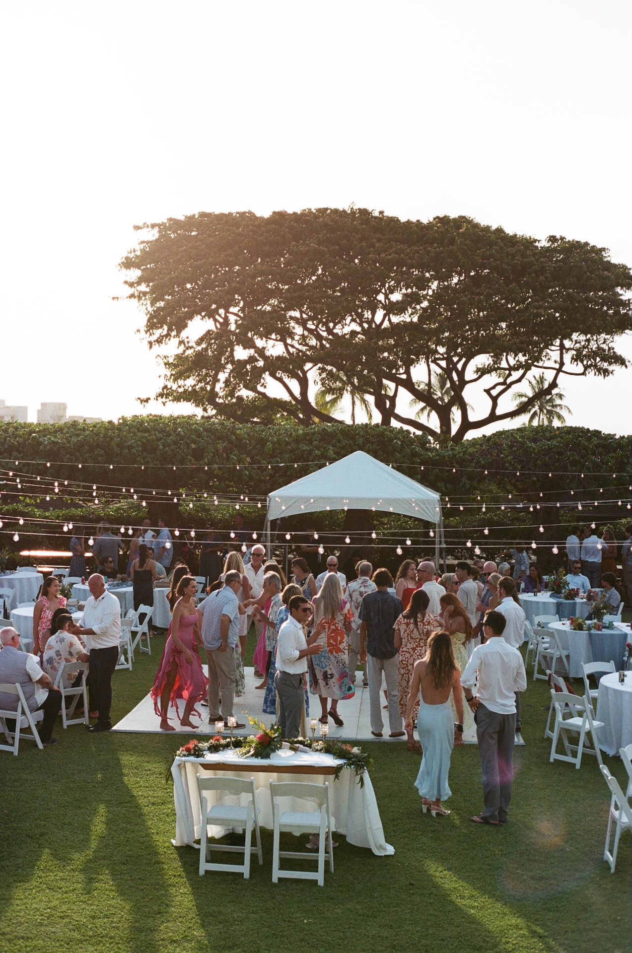 A vibrant reception scene under hanging lights and a wide tropical tree, with guests dancing and mingling across the lawn.