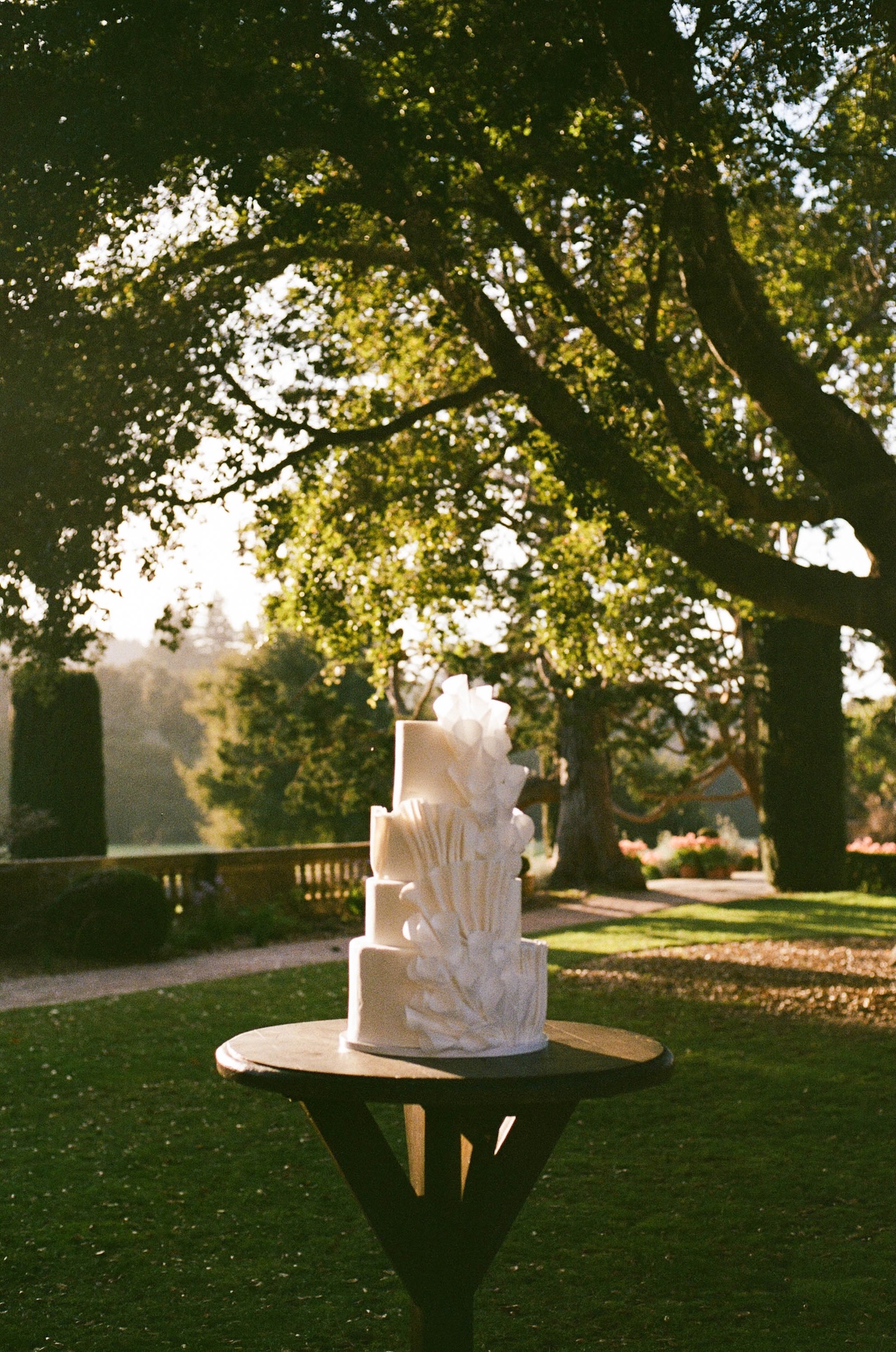 A tall, modern white tiered wedding cake with sculptural detailing set on a wooden table under large oak trees during golden hour.

