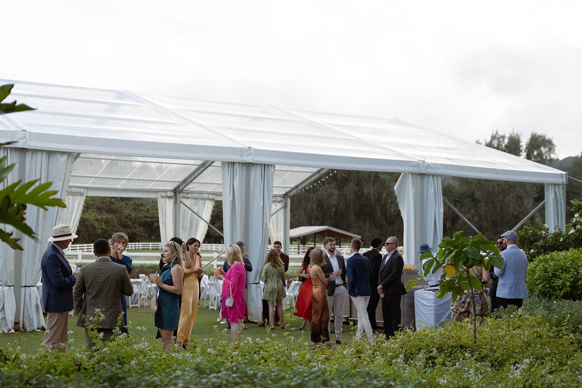 Guests mingling under a clear tent during cocktail hour at a Hawaii wedding, dressed in colorful attire and enjoying drinks.