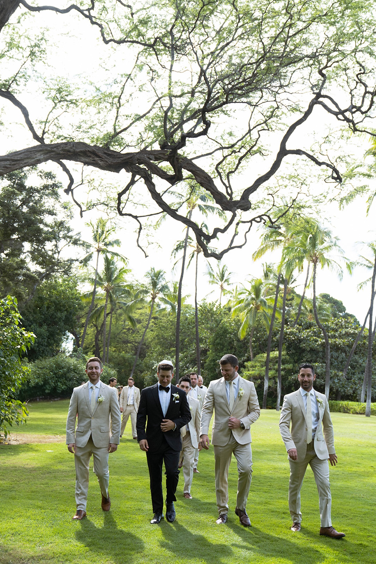 A groom walks with his groomsmen through a palm-filled lawn, a relaxed moment often built into big island wedding planning timelines.