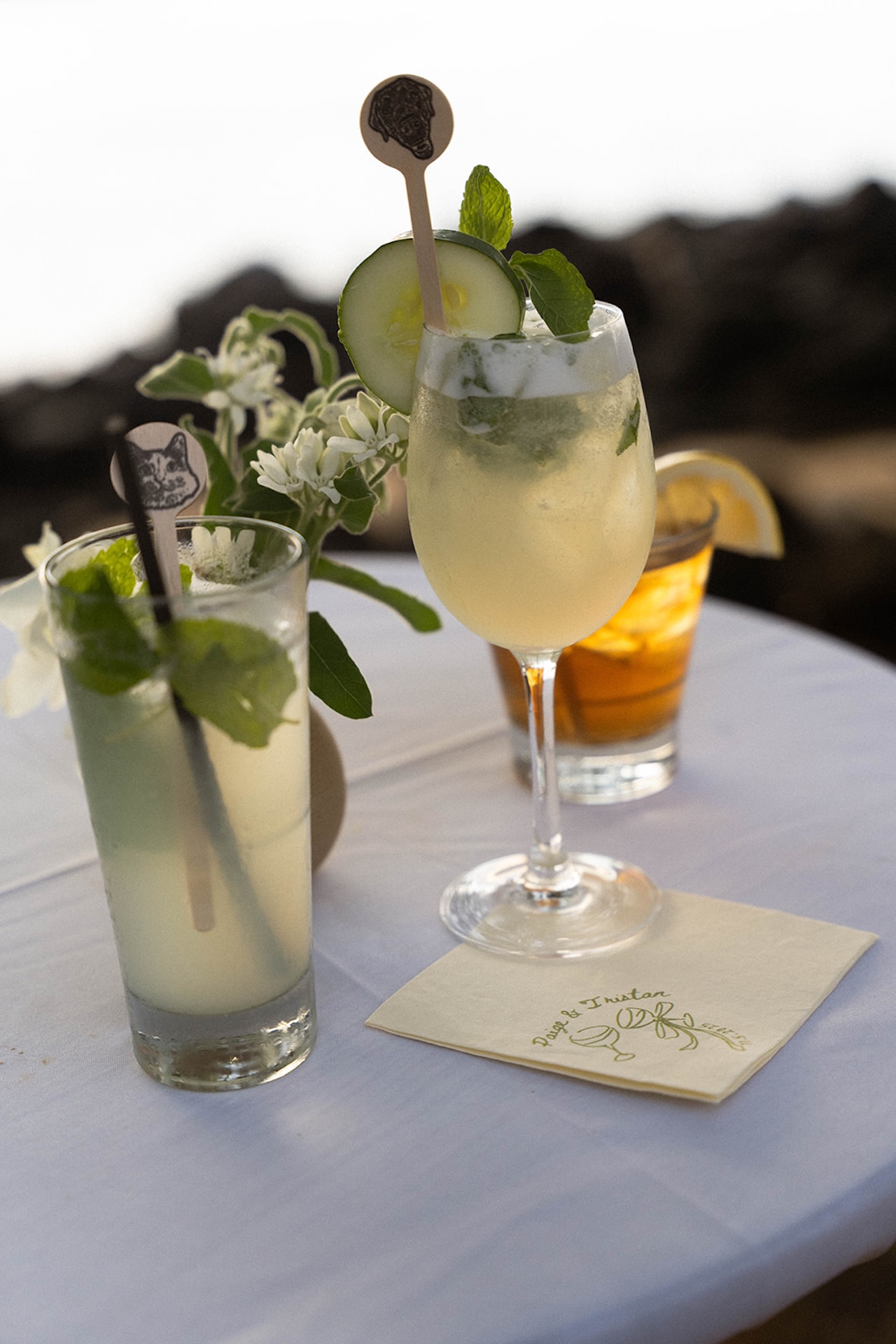 Signature cocktails served in glassware with fresh cucumber, mint, and citrus garnishes during golden hour cocktail hour.