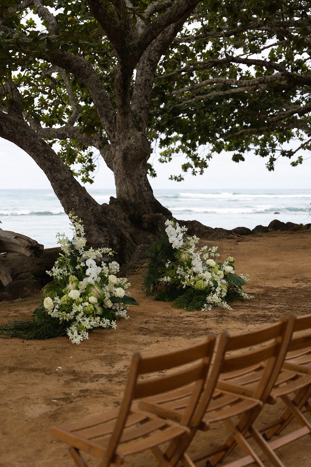 An intimate oceanfront ceremony setup beneath a large tree, featuring wooden chairs and white floral arrangements at one of the most scenic Kauai wedding venues.